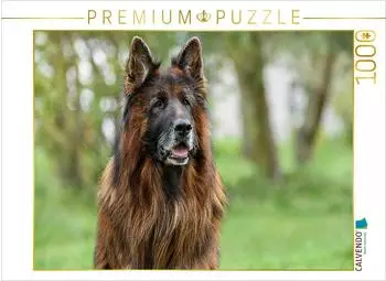 Calvendo Foto-Puzzle 10-j&auml;hriger Langstockhaar-Sch&auml;ferhund, 1000 Teile, 64x48cm
