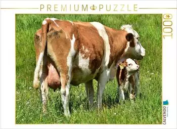 Calvendo Foto-Puzzle &bdquo;Junge K&auml;lber" 1000 Teile 64x48cm