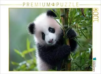 Calvendo Puzzle "Bambus und Panda - zwei, die zusammen geh&ouml;ren" 1000 Teile 64x48cm