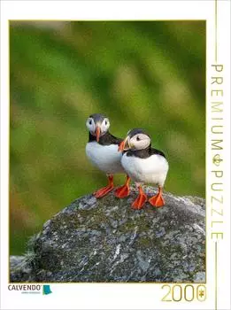 Calvendo Foto-Puzzle &bdquo;Naturerlebnis Puffin" 2000 Teile, 90x67cm