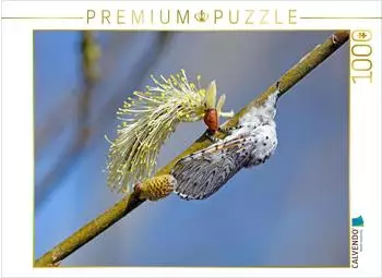 Calvendo Puzzle Gro&szlig;er Gabelschwanz (Cerura vinula) 1000 Teile, 64x48cm