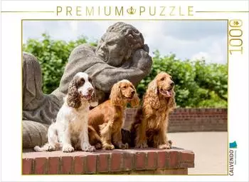 Calvendo Drei Cocker sitzen vor einer Steinfigur, Puzzle 1000 Teile quer (7371684)