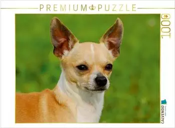 Calvendo Puzzle &bdquo;Chihuahua &ndash; Kleine Hunde ganz gro&szlig;" 1000 Teile 64x48cm (4056502768036)