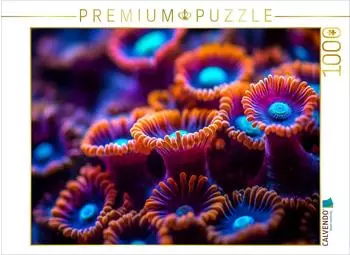 Calvendo Puzzle "Ozeanische Juwelen" 1000 Teile, 64x48cm