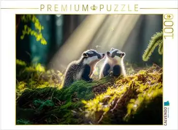 Calvendo Puzzle Dachse 1000 Teile, 64x48cm