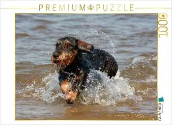Calvendo Puzzle "Liebenswerte Rabauken Rauhaardackel" CH-Version 1000 Teile 64x48cm