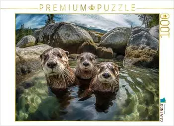 Calvendo Foto-Puzzle "Bitte l&auml;cheln" 1000 Teile, 64x48cm
