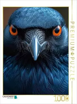 Calvendo Foto-Puzzle Krähe 1000 Teile, 64x48cm (4066851564470)