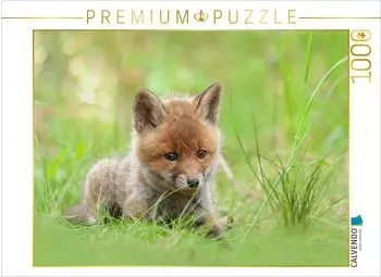 Calvendo Puzzle &bdquo;F&uuml;chse - zauberhafte Seelen" 1000 Teile, 64x48cm
