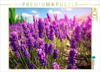 Calvendo Puzzle „Meditation und innerer Frieden" 1000 Teile 64x48cm