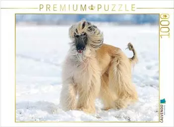 Calvendo Puzzle „Afghanischer Windhund – Anmutige Schönheit" 1000 Teile, 64x48cm