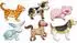 Eduplay Magnetpuzzle Bauernhoftiere (120674)