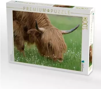 Calvendo Puzzle &bdquo;Auf der Blumenwiese", 1000 Teile, 64&times;48cm
