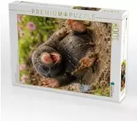 CALVENDO Puzzle Das warme Pf&uuml;tzenbad 1000 Teile Lege-Gr&ouml;&szlig;e 64 &times; 48 cm...