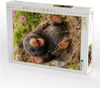 Calvendo Puzzle &bdquo;Das warme Pf&uuml;tzenbad" 1000 Teile, 64&times;48cm