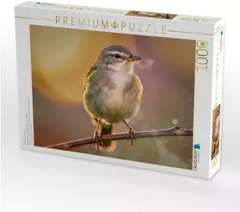 Calvendo &bdquo;Der kleine Star, ein Blick, der h&auml;ngen bleibt" Puzzle 1000 Teile, 64&times;48cm