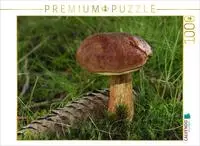 CALVENDO Puzzle Maronen-R&ouml;hrling (Imleria Badia) | 1000 Teile Lege-Gr&ouml;&szlig;e 64...