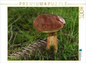 Calvendo Puzzle Maronen-R&ouml;hrling (Imleria badia), 1000 Teile, 64&times;48cm