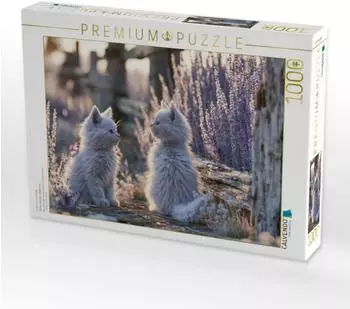 Calvendo Puzzle &bdquo;Kleine Wunder entdecken" 1000 Teile, 64&times;48cm