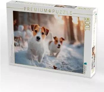 Calvendo Puzzle &bdquo;Jack Russell Terrier &ndash; Winterfreunde auf Entdeckungstour" 1000 Teile, 64&times;48cm