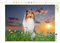 CALVENDO Puzzle Collier&uuml;de im Sonnenuntergang 1000 Teile Lege-Gr&ouml;&szlig;e 64 &times; 48...