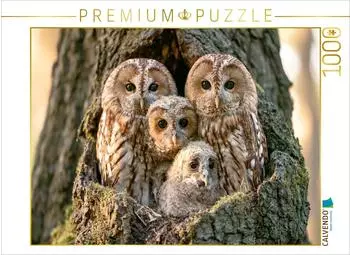 Calvendo Puzzle &bdquo;Weisheit der Nacht" 1000 Teile, 64&times;48cm