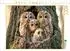 Calvendo Puzzle „Weisheit der Nacht