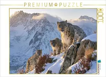 Calvendo Puzzle &bdquo;Gemeinsam stark" 1000 Teile, 64&times;48cm