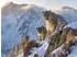 Calvendo Puzzle „Gemeinsam stark