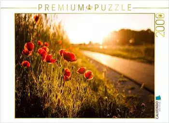 Calvendo Puzzle "Mohnblumen am Radweg zwischen He&szlig;dorf und Gro&szlig;enseebach" 2000 Teile, 90&times;67cm