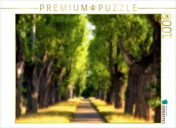 Calvendo Pappelallee im Hohenheimer Schlosspark, Puzzle 1000 Teile, 64&times;48cm