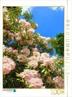 CALVENDO Puzzle Bl&uuml;hender Rhododendron, S&uuml;dengland. Zitat: Dietrich...