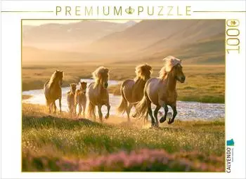 Calvendo Puzzle &bdquo;Frei wie der Wind" 1000 Teile, 64&times;48cm