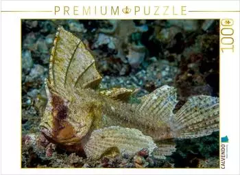 Calvendo Puzzle &bdquo;Schaukelfisch" 1000 Teile, 64&times;48cm