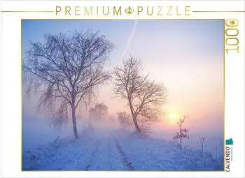 Calvendo Foto-Puzzle &bdquo;Winterlicher Sonnenuntergang im Nebel, Meyenfelder Stra&szlig;e" 1000 Teile, 64&times;48cm