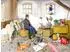 Calvendo Puzzle „Fortbildung im Stall