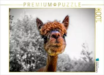 Calvendo Alpaka Gesichter Foto-Puzzle 1000 Teile, 64x48cm