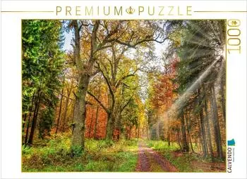 Calvendo Foto-Puzzle &bdquo;M&auml;rchenhafter Wald mit knorrigen Eichen im Herbstlicht", 1000 Teile, 64x48cm