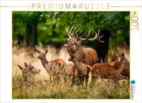CALVENDO Puzzle EIN Motiv aus dem Kalender Die Brunft der Hirsche | 1000 Teile