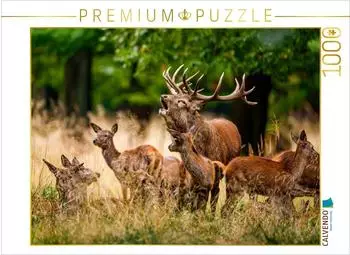 Calvendo Puzzle &bdquo;Die Brunft der Hirsche" 1000 Teile, 64&times;48cm
