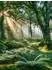 Calvendo Puzzle „Dem Sommer entgegen