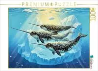 CALVENDO Puzzle Narwale im Meer 1000 Teile Lege-Gr&ouml;&szlig;e 64 &times; 48 cm Foto-Puzzle...