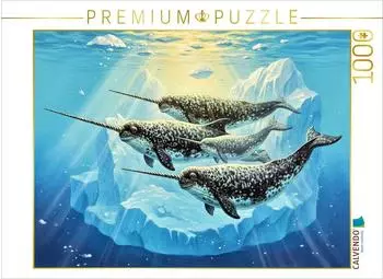 Calvendo Puzzle "Narwale im Meer" 1000 Teile, 64&times;48cm
