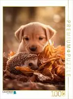 CALVENDO Puzzle Igel und Welpe - Tierischer Herbstzauber 1000 Teile Lege-Gr&ouml;&szlig;e 64