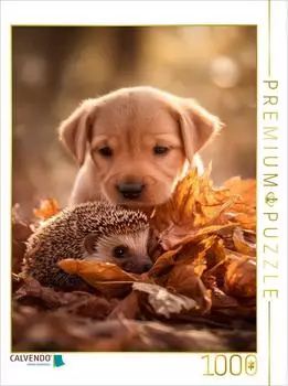 Calvendo Puzzle "Igel und Welpe - Tierischer Herbstzauber" 1000 Teile, 64&times;48cm