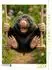 Calvendo Puzzle 