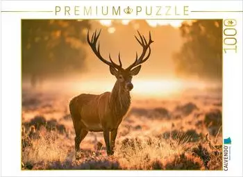 Calvendo K&ouml;nig des goldenen Morgens, Foto-Puzzle 1000 Teile, 64&times;48cm
