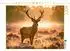 Calvendo König des goldenen Morgens, Foto-Puzzle 1000 Teile, 64×48cm