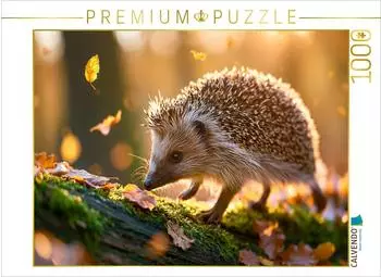 Calvendo Puzzle "Klein und wunderbar lebendig" 1000 Teile, 64&times;48cm