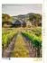 Calvendo Puzzle „Reben der Toskana